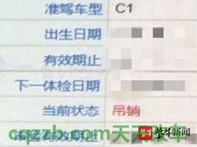 有用：7座家用车推荐 80次违章竟然不吊销驾照  第2张