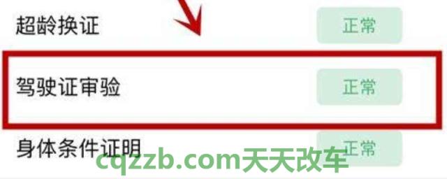 如何查询驾驶证状态(机动车驾驶证如何获得)  第1张