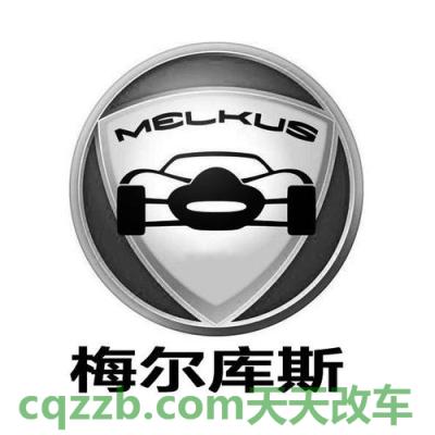 汽车疑问：Melkus_什么是Melkus  第2张