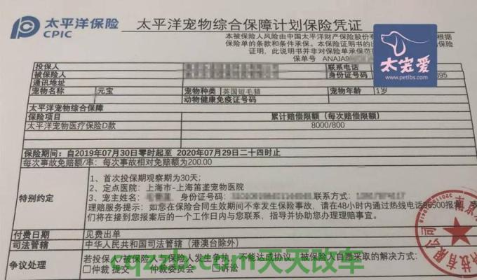 分享：福睿斯车身有几种颜色 车祸保险公司理赔程序