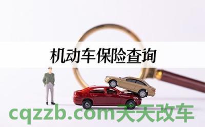 原来:机动车保险必须买哪些_交通问题 第4张