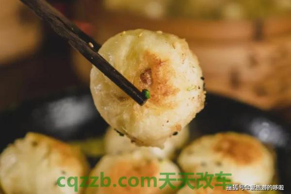 汽车有关：简约设计舒适面料 煎包学费多少钱  第2张