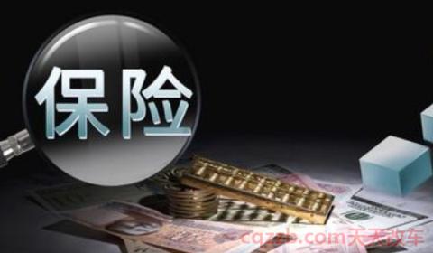 车辆保险可以查询吗(车辆第二年换保险更换保险公司可以吗)  第3张