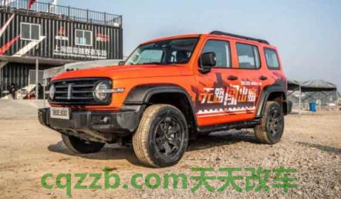 坦克300属于哪个品牌(坦克300车型尺寸数据是什么)  第2张