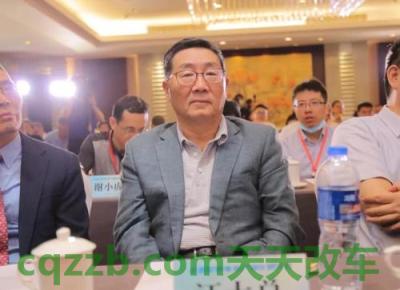 汽车问答：汪大总_什么是汪大总