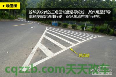 关于汽车：压交通标线如何处罚_什么是压交通标线如何处罚  第13张