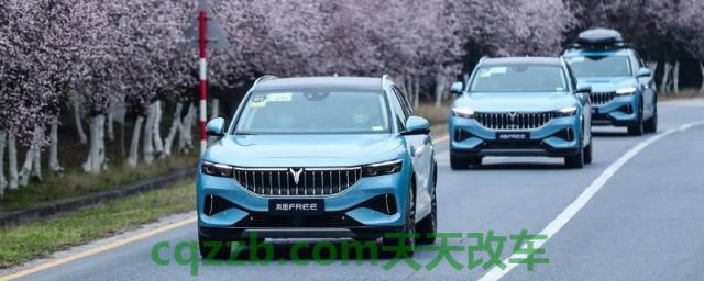 疏解：岚图新能源汽车是哪个公司的(岚图新能源岚图FREE的底盘转向系统是什么)