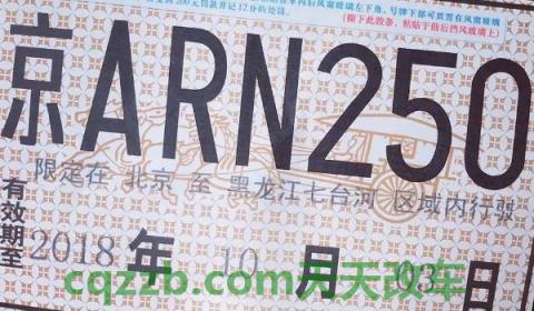 新车网上选号审核需要多久(机动车临时号牌有几种)  第3张