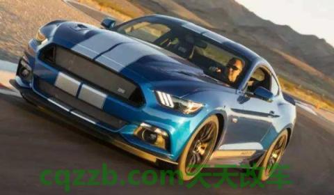 解惑:车标是眼镜蛇是什么车(Shelby跑车gte的底盘转向系统是什么) 第3张