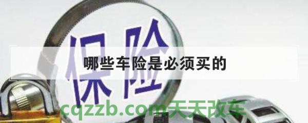 了解汽车：车险只买交强险可以吗_交通问题  第2张