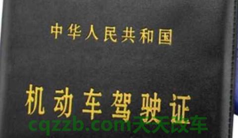 驾驶机动车应当随身携带哪种证件(机动车驾驶证如何换证)  第2张