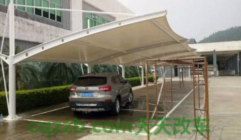 黄线停车位和白色停车位的区别(停车位都有哪些种颜色)  第3张