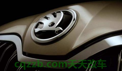 一汽大众标志(大众公司是哪个国家的)  第3张