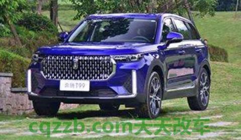 奔腾t99百公里油耗(奔腾t99的详细介绍)  第2张