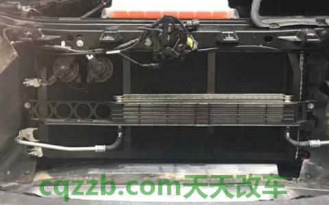 汽车水箱有必要装防虫网吗(安装防虫网能一劳永逸吗) 第2张