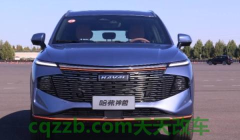 看一下：哈佛是不是国产车?(哈弗大狗的车身尺寸数据是什么)  第2张