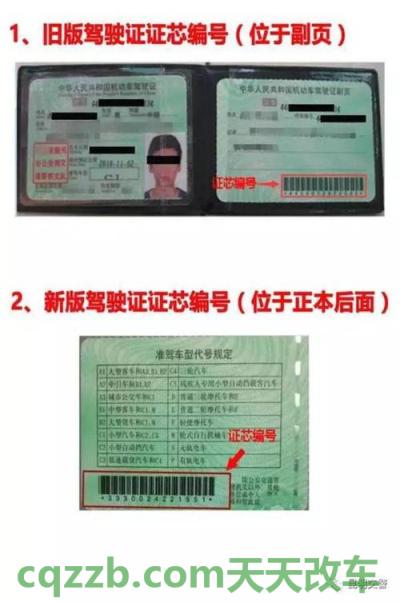 有用：驾驶证档案号是什么_交通问题  第4张
