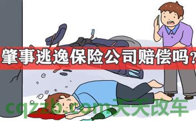 汽车有关：对方逃逸理赔技巧_什么是对方逃逸理赔技巧  第2张