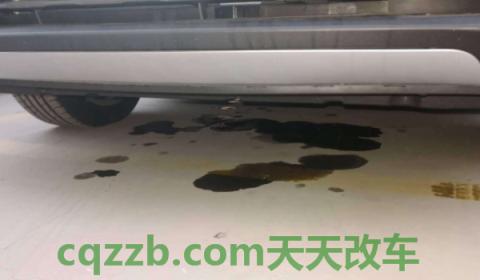 揭露一下：汽车轻微漏油还能开吗(如何能确定车辆漏油)  第3张