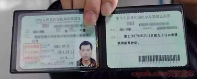 驾驶证件照要求(注意事项)  第1张