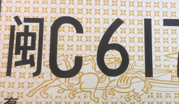 北京临时牌照可以出京吗(临时号牌一共有几种)  第2张