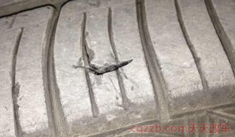 轮胎侧面发黄怎么去除(轮胎发黄的原因) 第2张
