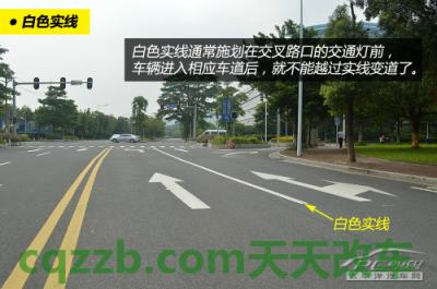 汽车疑问：不能压的交通标线_什么是不能压的交通标线  第4张