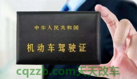 电子驾驶证全国通用吗(机动车驾驶证丢失在哪里补办)  第3张