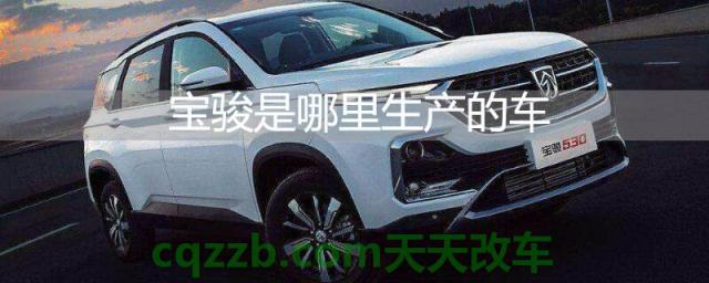 宝骏是哪里生产的车(宝骏标志设计)