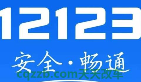 解说:交管12123遗失补证需要几天(交管12123可以办理哪些手续) 第2张