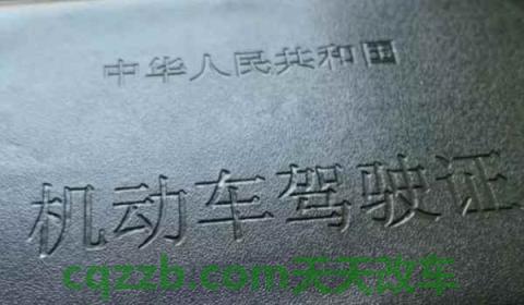 驾照在哪儿换证(机动车驾驶证换证可以提前多久)  第2张