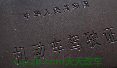 普及：驾驶证副页丢了严重吗(机动车驾驶证如何获得)  第3张
