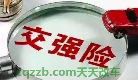 车牌号查交强险()  第4张