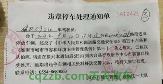 车回答：违章停车怎么处罚_交通问题  第2张