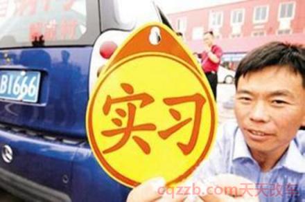 实习期上高速怎么处罚(实习期单独上高速罚款20到200元)  第4张