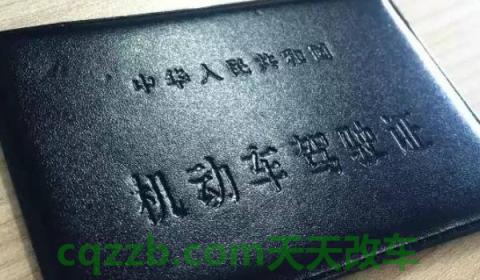 2020年电子驾照全国通用吗(机动车驾驶证丢失有几种补领方式)  第2张