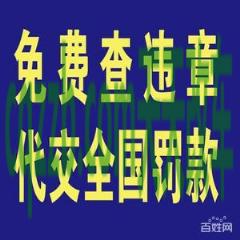 有用：新车上牌可以代办吗_交通问题  第2张