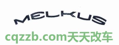 汽车疑问：Melkus_什么是Melkus