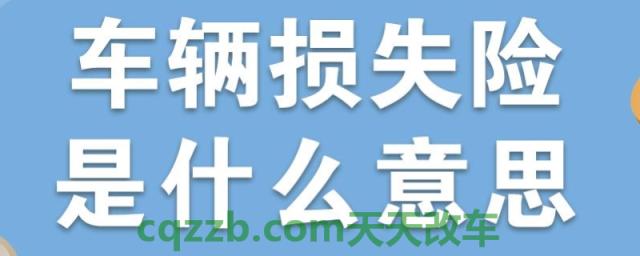 机动车损失险包括哪些项目(商业保险可以退保吗)