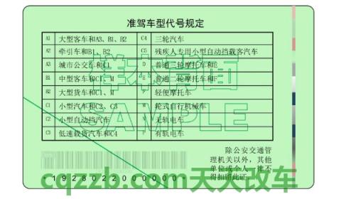 驾驶证能随便拍照给别人吗(机动车驾驶证丢失怎么办)  第3张