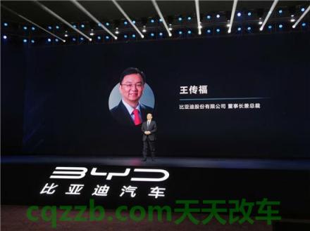 问题：王传福_什么是王传福