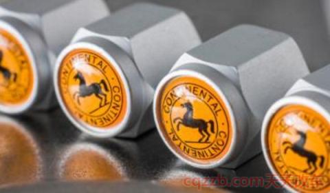 马牌维京轮胎和马牌的区别(马牌是什么时候进入的中国)  第2张