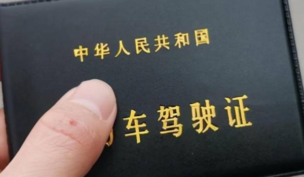 什么叫电子驾驶证(电子驾驶证在哪里申领) 第3张