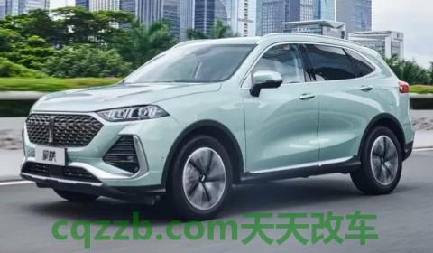 解惑：WEY拿铁有四驱版本吗(WEY拿铁使用的发动机型号是什么)  第2张