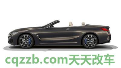 了解：期待新的宝马8系敞篷车看起来像这样 奇骏2.0L两驱舒适版的性能怎么样及其整体简介  第2张