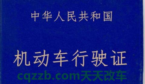 闲谈一下：12123选号当天可以上牌吗(交管12123使用收费吗)  第3张