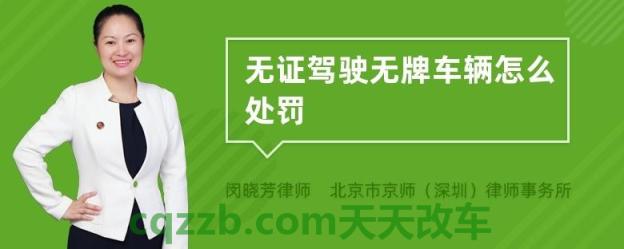 问答:无证驾驶车辆怎么处理_交通问题 第2张