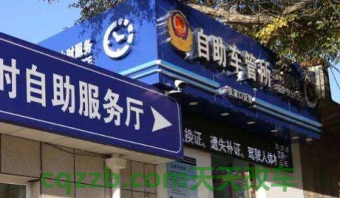 闲谈:鄂w是哪里的车牌号码(机动车辆号牌丢失在哪里补办) 第3张