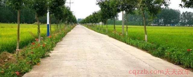 乡村道路限速多少(高速公路的限速规定)