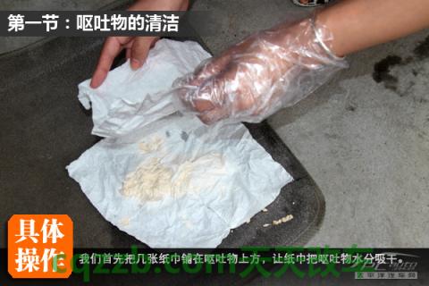 问题：车内污渍清除技巧_什么是车内污渍清除技巧  第5张